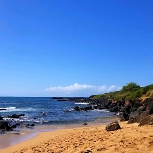 Mostly here to SHOP! Lol!